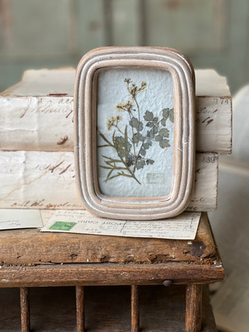 Wakefield Mini Botanical | No. 1 | NOT CURRENTLY IN STOCK - Spring 2026