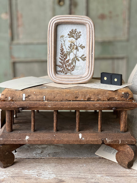 Wakefield Mini Botanical | No. 2 | NOT CURRENTLY IN STOCK - Spring 2026