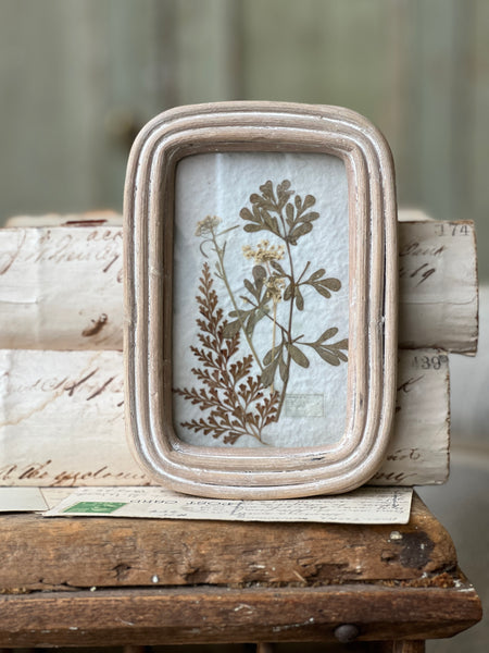 Wakefield Mini Botanical | No. 2 | NOT CURRENTLY IN STOCK - Spring 2026