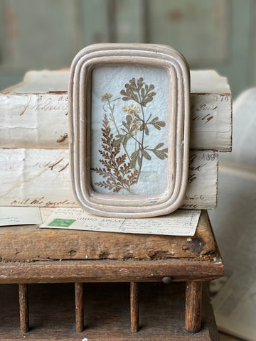 Wakefield Mini Botanical | No. 2 | NOT CURRENTLY IN STOCK - Spring 2026