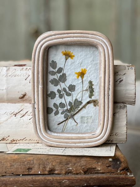 Wakefield Mini Botanical | No. 3