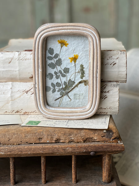 Wakefield Mini Botanical | No. 3