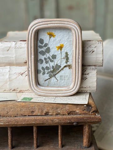 Wakefield Mini Botanical | No. 3