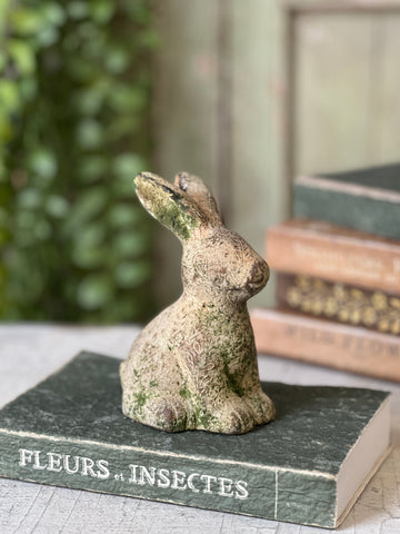 Tilly Rabbit | 5.5" | Sitting | NOT CURRENTLY IN STOCK-New For Spring 2026!