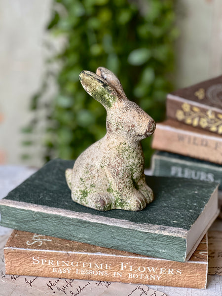 Tilly Rabbit | 5.5" | Sitting | NOT CURRENTLY IN STOCK-New For Spring 2026!