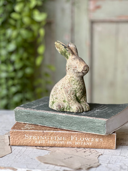 Tilly Rabbit | 5.5" | Sitting | NOT CURRENTLY IN STOCK-New For Spring 2026!