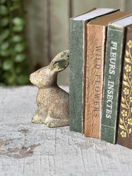 Tilly Rabbit | 5.5" | Sitting | NOT CURRENTLY IN STOCK-New For Spring 2026!