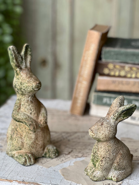 Tilly Rabbit | 5.5" | Sitting | NOT CURRENTLY IN STOCK-New For Spring 2026!