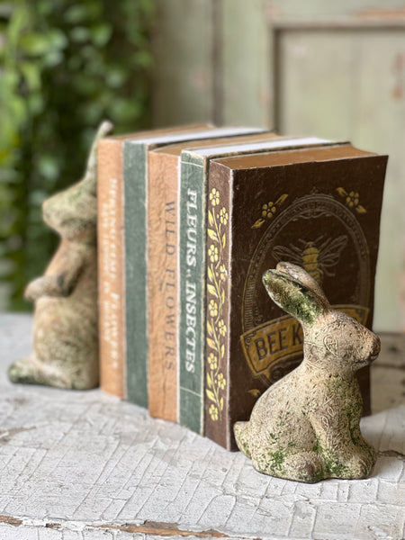 Tilly Rabbit | 5.5" | Sitting | NOT CURRENTLY IN STOCK-New For Spring 2026!