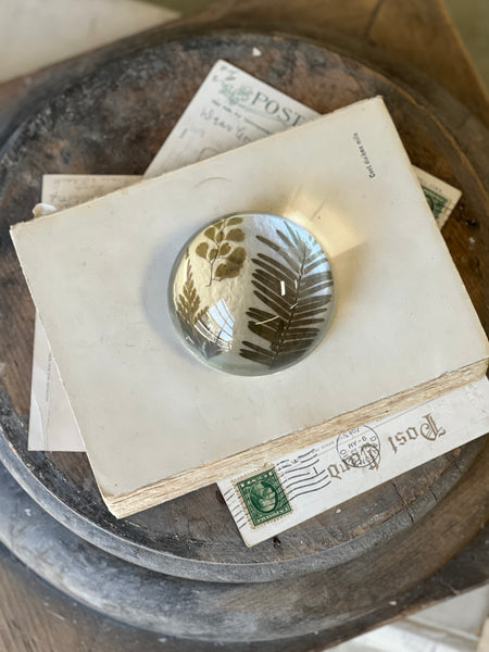 Natural Wonders | No. 1 | NOT CURRENTLY IN STOCK-New For Spring 2026!