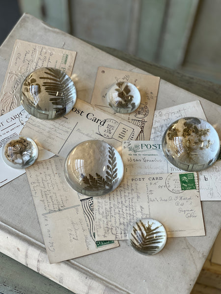 Natural Wonders | No. 2 | NOT CURRENTLY IN STOCK-New For Spring 2026!