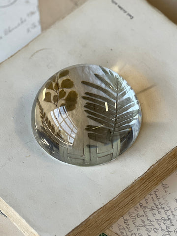 Natural Wonders | No. 1 | NOT CURRENTLY IN STOCK-New For Spring 2026!