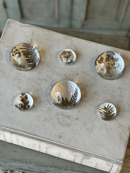 Natural Wonders | No. 1 | NOT CURRENTLY IN STOCK-New For Spring 2026!