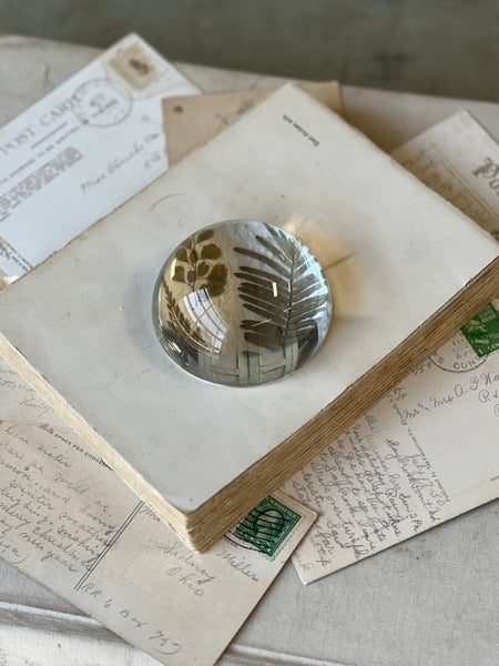 Natural Wonders | No. 1 | NOT CURRENTLY IN STOCK-New For Spring 2026!