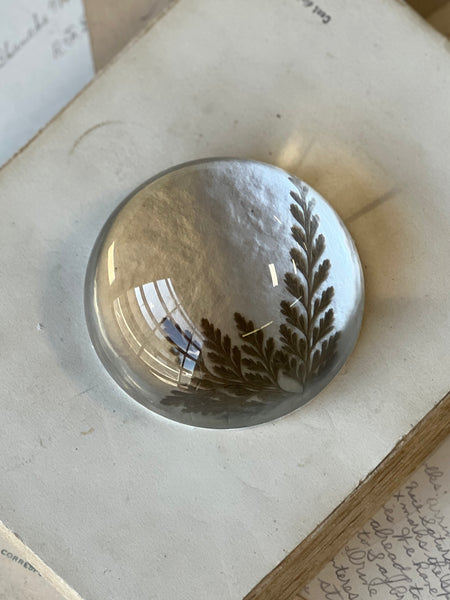 Natural Wonders | No. 2 | NOT CURRENTLY IN STOCK-New For Spring 2026!