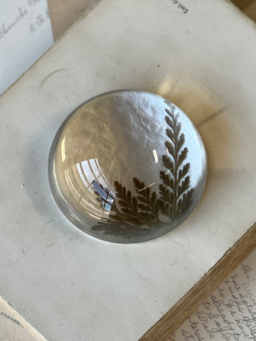 Natural Wonders | No. 2 | NOT CURRENTLY IN STOCK-New For Spring 2026!