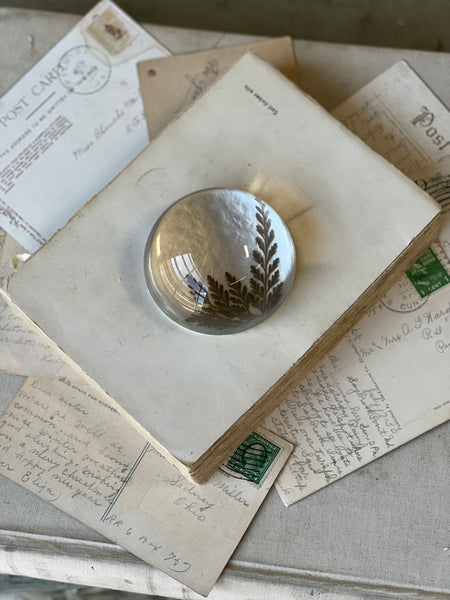 Natural Wonders | No. 2 | NOT CURRENTLY IN STOCK-New For Spring 2026!