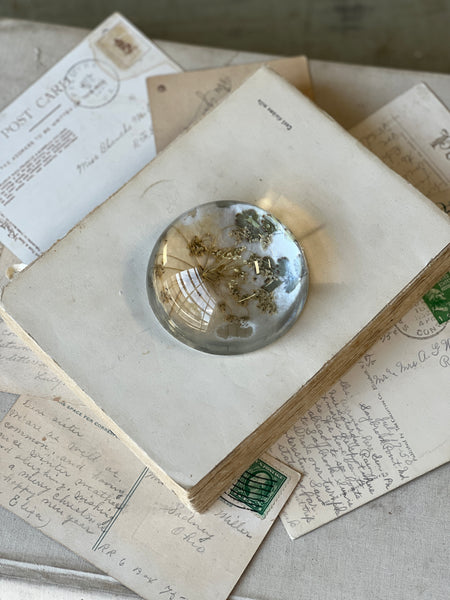 Natural Wonders | No. 3 | NOT CURRENTLY IN STOCK-New For Spring 2026!