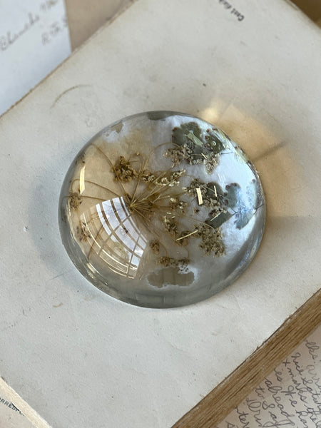 Natural Wonders | No. 3 | NOT CURRENTLY IN STOCK-New For Spring 2026!