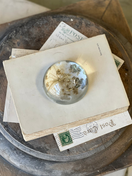 Natural Wonders | No. 3 | NOT CURRENTLY IN STOCK-New For Spring 2026!