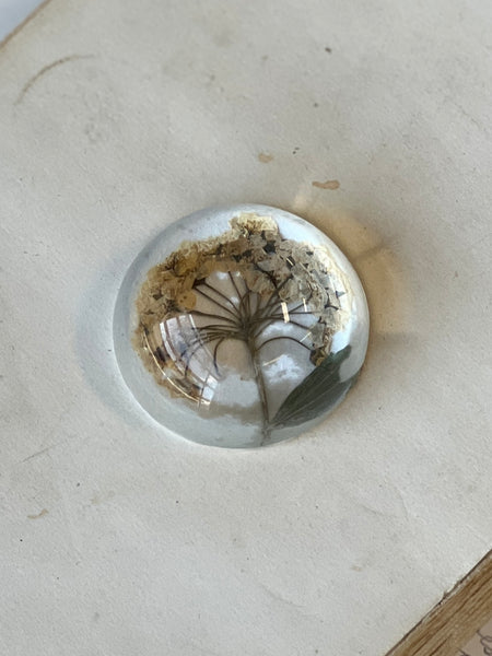 Natural Wonders | No. 4 | NOT CURRENTLY IN STOCK-New For Spring 2026!