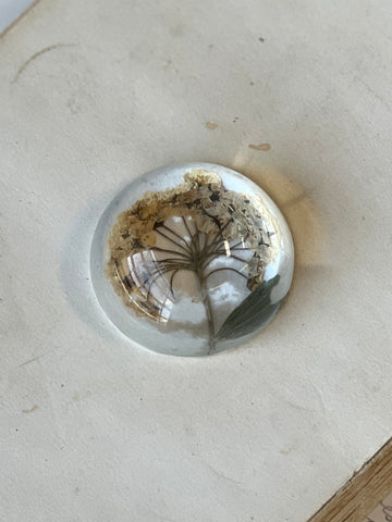 Natural Wonders | No. 4 | NOT CURRENTLY IN STOCK-New For Spring 2026!