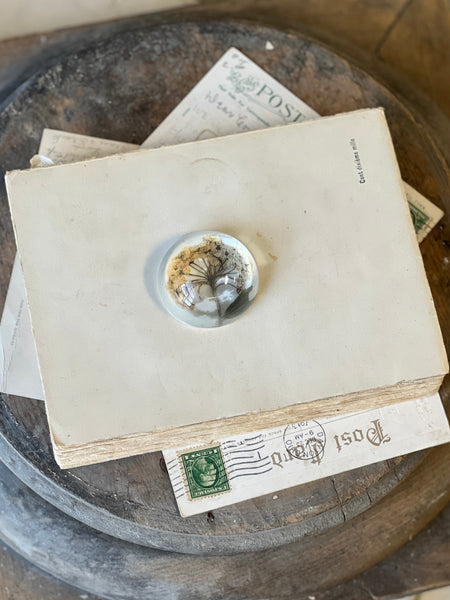 Natural Wonders | No. 4 | NOT CURRENTLY IN STOCK-New For Spring 2026!