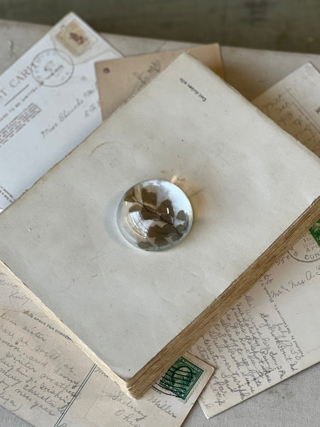 Natural Wonders | No. 5 | NOT CURRENTLY IN STOCK-New For Spring 2026!