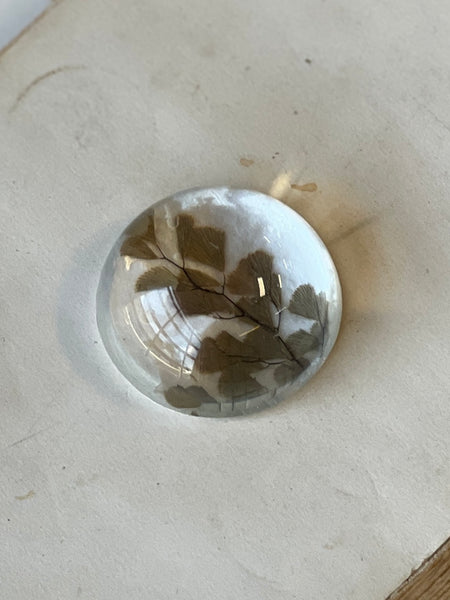 Natural Wonders | No. 5 | NOT CURRENTLY IN STOCK-New For Spring 2026!