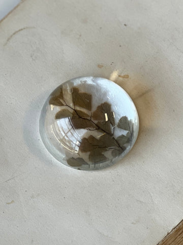 Natural Wonders | No. 5 | NOT CURRENTLY IN STOCK-New For Spring 2026!