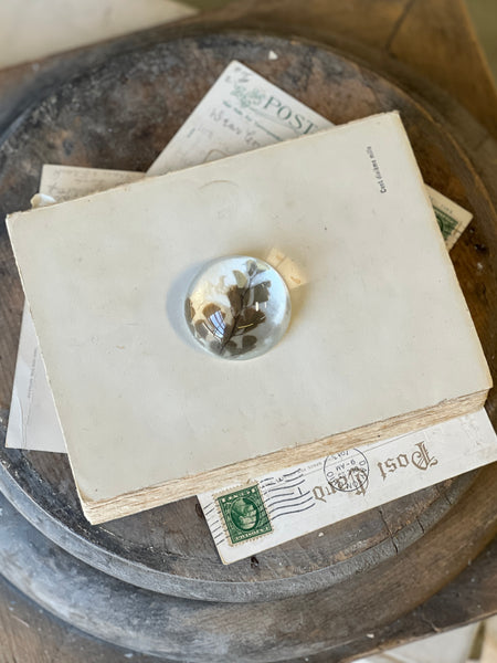 Natural Wonders | No. 5 | NOT CURRENTLY IN STOCK-New For Spring 2026!