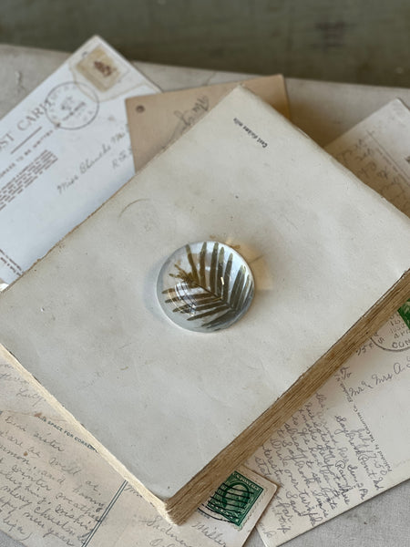 Natural Wonders | No. 6 | NOT CURRENTLY IN STOCK-New For Spring 2026!