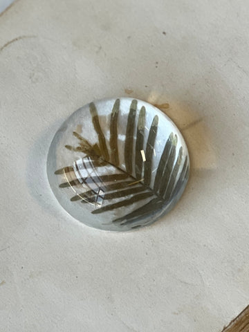 Natural Wonders | No. 6 | NOT CURRENTLY IN STOCK-New For Spring 2026!