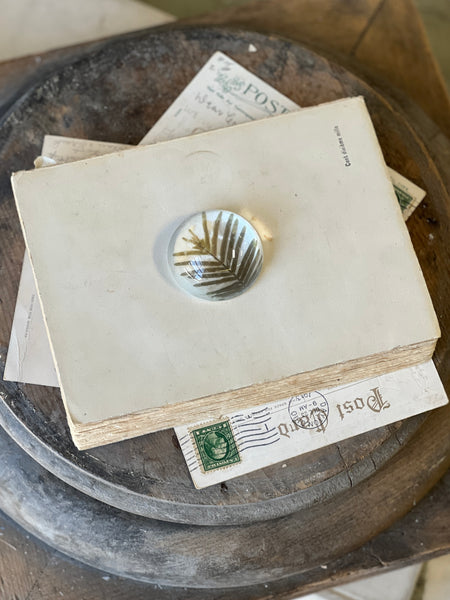 Natural Wonders | No. 6 | NOT CURRENTLY IN STOCK-New For Spring 2026!