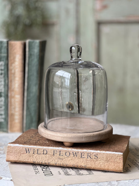 Belvedere Cloche w/ Base | 6.5" | NOT CURRENTLY IN STOCK-New For Spring 2026!