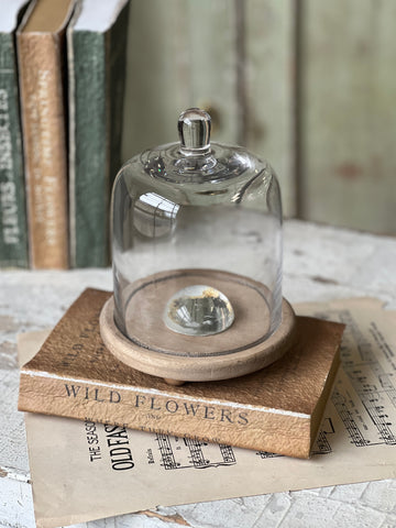 Belvedere Cloche w/ Base | 6.5" | NOT CURRENTLY IN STOCK-New For Spring 2026!