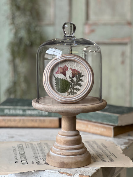 Belvedere Cloche w/ Pedestal | 11.8" | NOT CURRENTLY IN STOCK-New For Spring 2026!