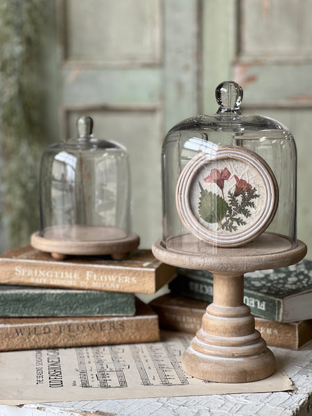 Belvedere Cloche w/ Pedestal | 11.8" | NOT CURRENTLY IN STOCK-New For Spring 2026!