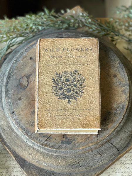 Vintage Volumes | Wild Flowers | NOT CURRENTLY IN STOCK-New For Spring 2026!
