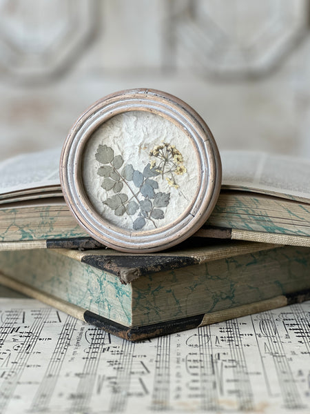 Jardin Botanicals | No. 1 | NOT CURRENTLY IN STOCK-New For Spring 2026!