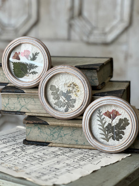 Jardin Botanicals | No. 3 | NOT CURRENTLY IN STOCK-New For Spring 2026!