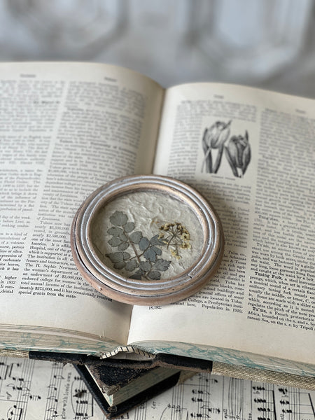 Jardin Botanicals | No. 1 | NOT CURRENTLY IN STOCK-New For Spring 2026!