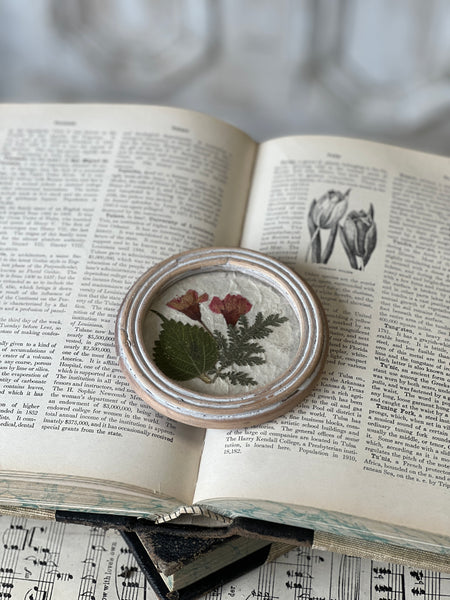 Jardin Botanicals | No. 2 | NOT CURRENTLY IN STOCK-New For Spring 2026!