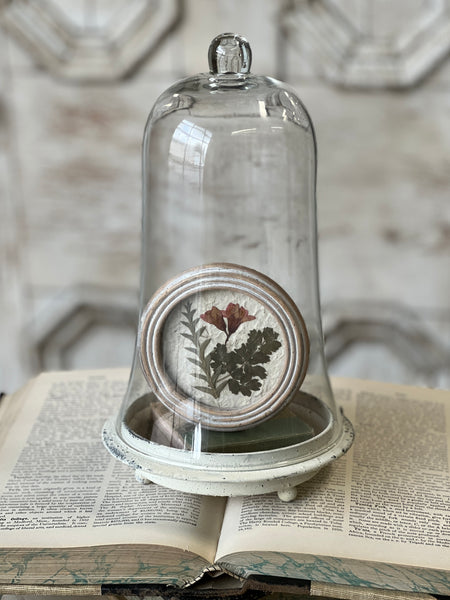 Jardin Botanicals | No. 3 | NOT CURRENTLY IN STOCK-New For Spring 2026!