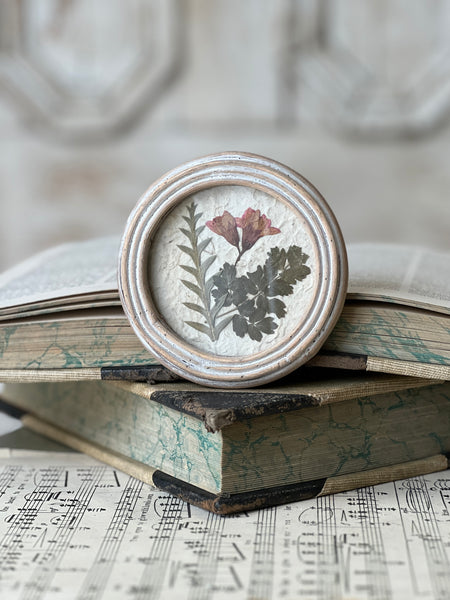 Jardin Botanicals | No. 3 | NOT CURRENTLY IN STOCK-New For Spring 2026!