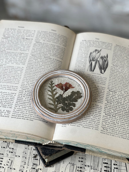 Jardin Botanicals | No. 3 | NOT CURRENTLY IN STOCK-New For Spring 2026!