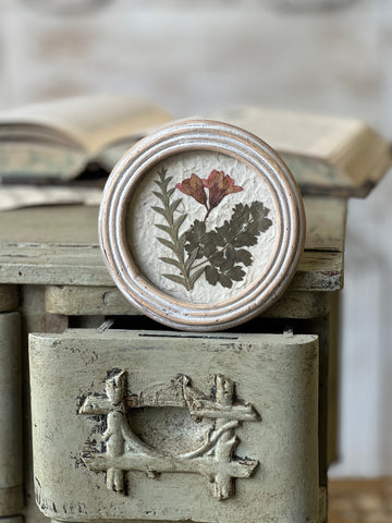 Jardin Botanicals | No. 3 | NOT CURRENTLY IN STOCK-New For Spring 2026!