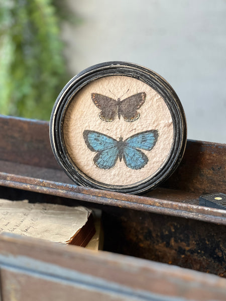 Kaleidoscope Butterflies | No. 1 | NOT CURRENTLY IN STOCK-New For Spring 2026!