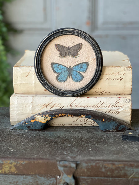 Kaleidoscope Butterflies | No. 1 | NOT CURRENTLY IN STOCK-New For Spring 2026!