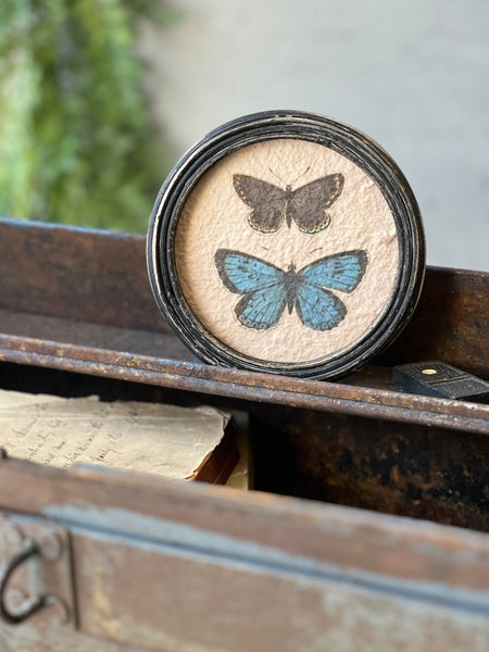 Kaleidoscope Butterflies | No. 1 | NOT CURRENTLY IN STOCK-New For Spring 2026!